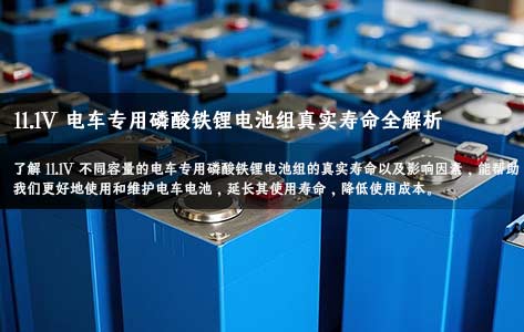 11.1V10AH20AH30AH40AH60AH80AH電車專(zhuan) 用磷酸鐵鋰電池組真實壽命