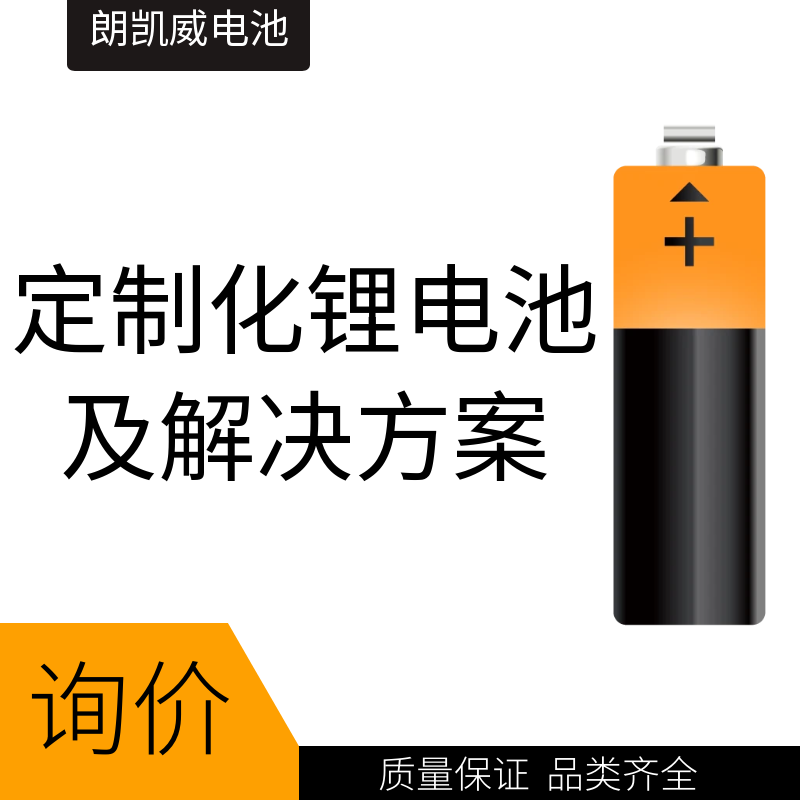 定製化鋰電池及解決方案